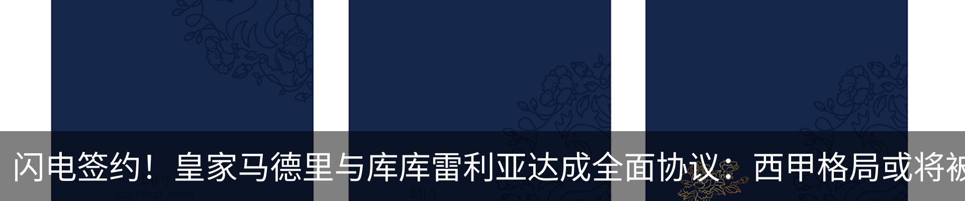 新闻动态